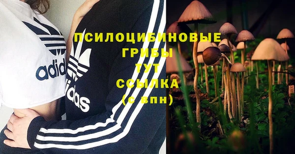 MDMA Баксан