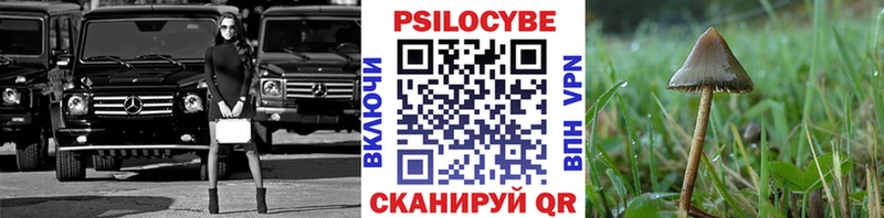 Псилоцибиновые грибы мицелий  Опочка 
